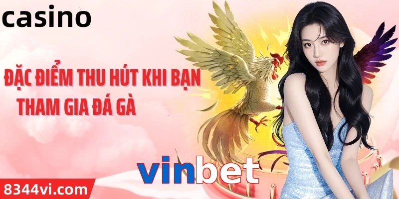 vinbet
